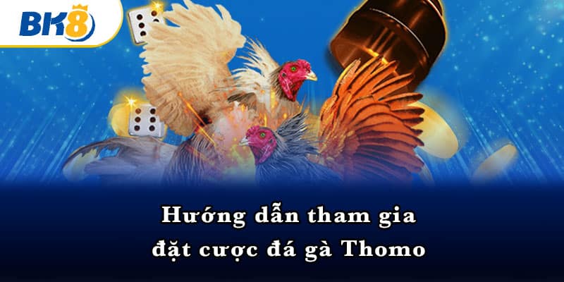 Hướng dẫn tham gia đặt cược đá gà Thomo